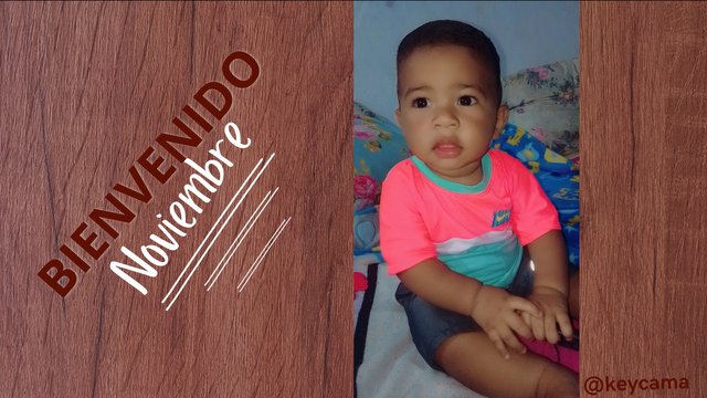 Historia Instagram Bienvenido Noviembre Otoño Marron_20241106_111139_1.png