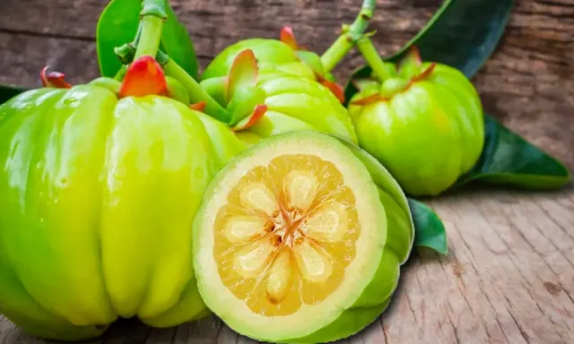 garcinia-cambogia-extract-powder.webp