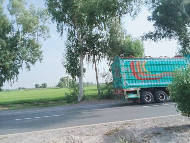 1000043755.jpg