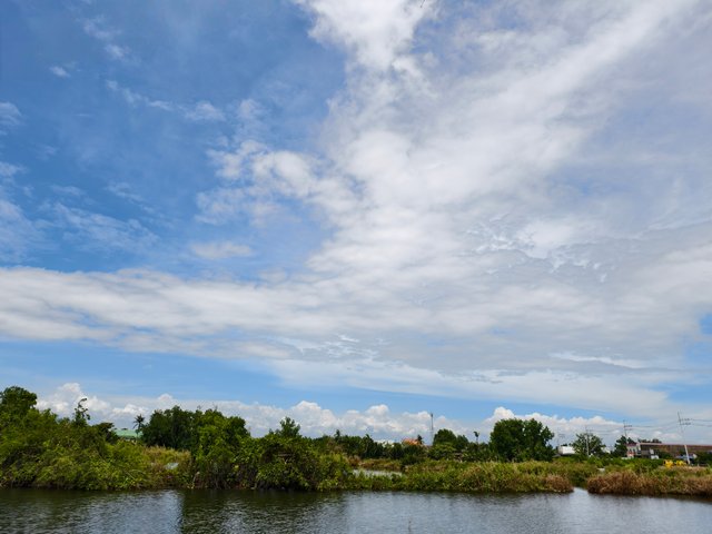 IMG_20250715_161430.jpg