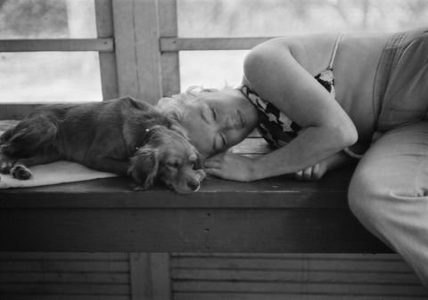 american-actress-marilyn-monroe-cuddles-up-to-a-small-dog-news-photo-107550192-1562959850.jpg