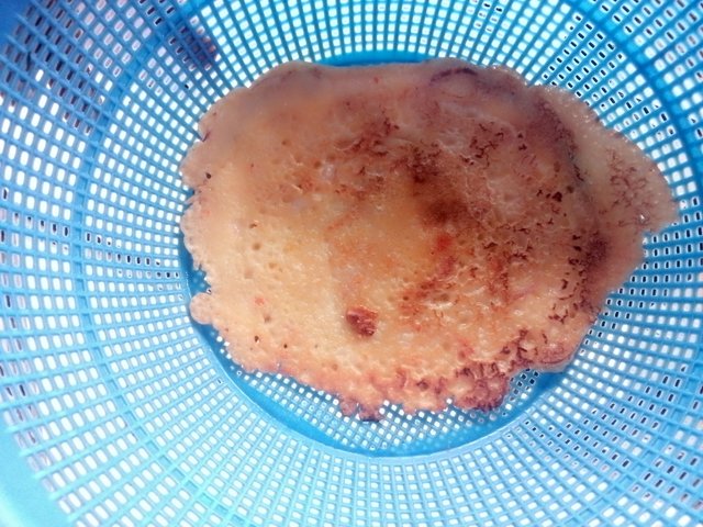 IMG_20250905_101939_060.jpg