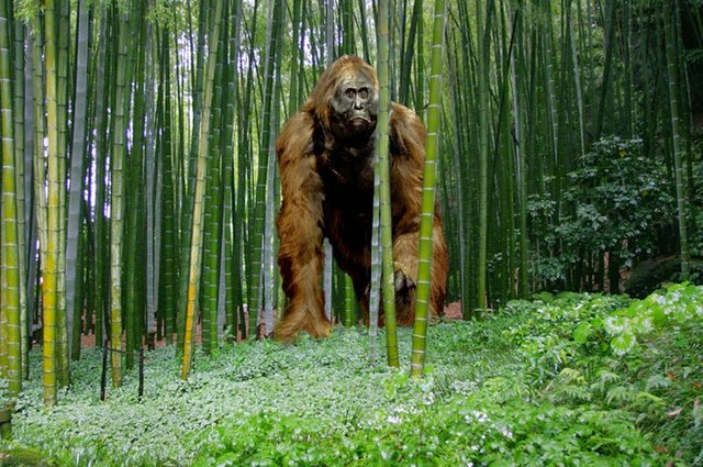 gigantopithecus_by_frank_lode-Frank-Lode.jpg