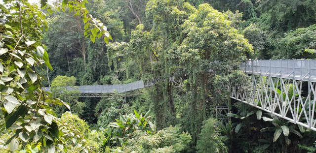 Queen Sirikit Botanical Garden8.jpg