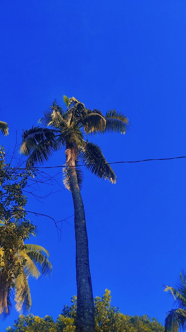 1000030140.jpg