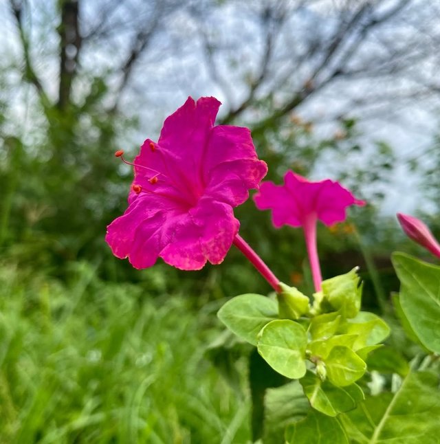 IMG_20250909_195814.jpg