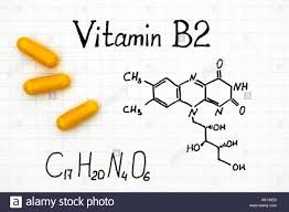 Vit B2.jpg