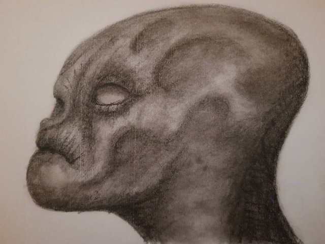 20250611_111736.jpg