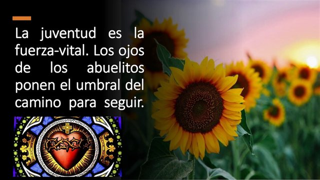 Frase_11_09_2023.jpg