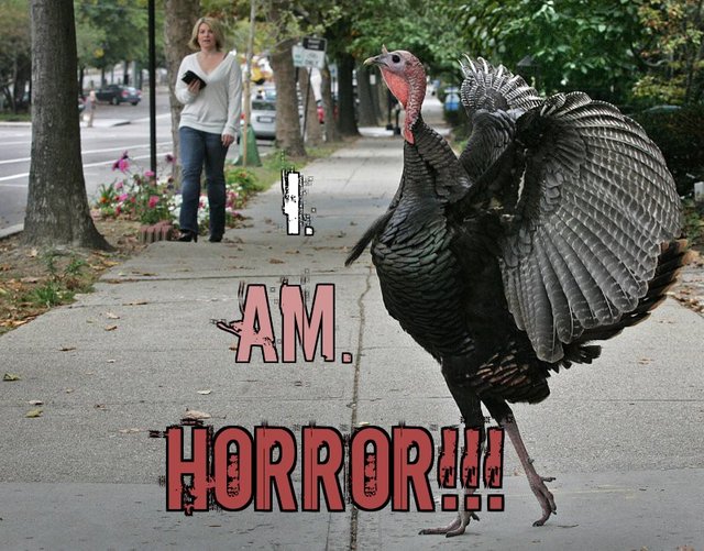 turkey_ornitho_phobia.jpg