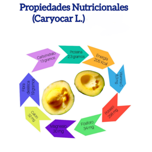 IMG_20230107_190005_(500_x_500_píxel).png