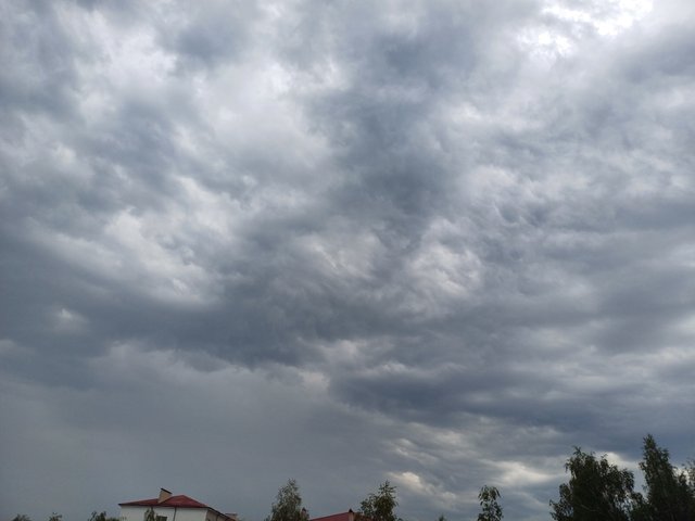 20250705_075952.jpg