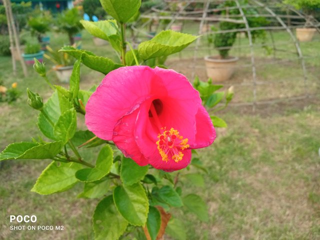 IMG_20250605_180612.jpg