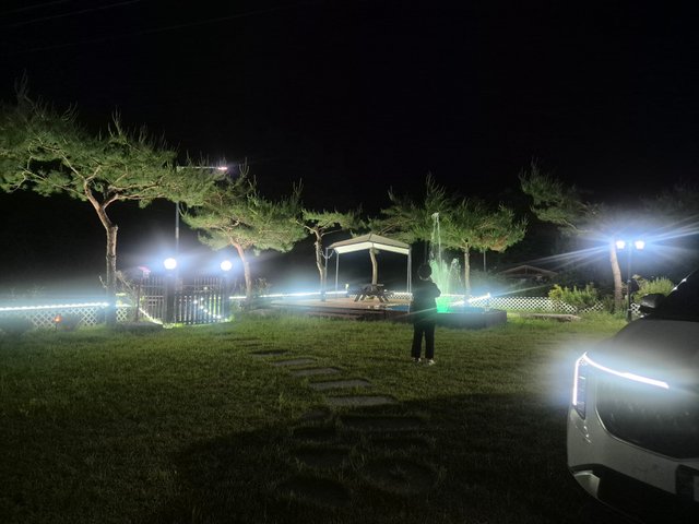 1000029176.jpg