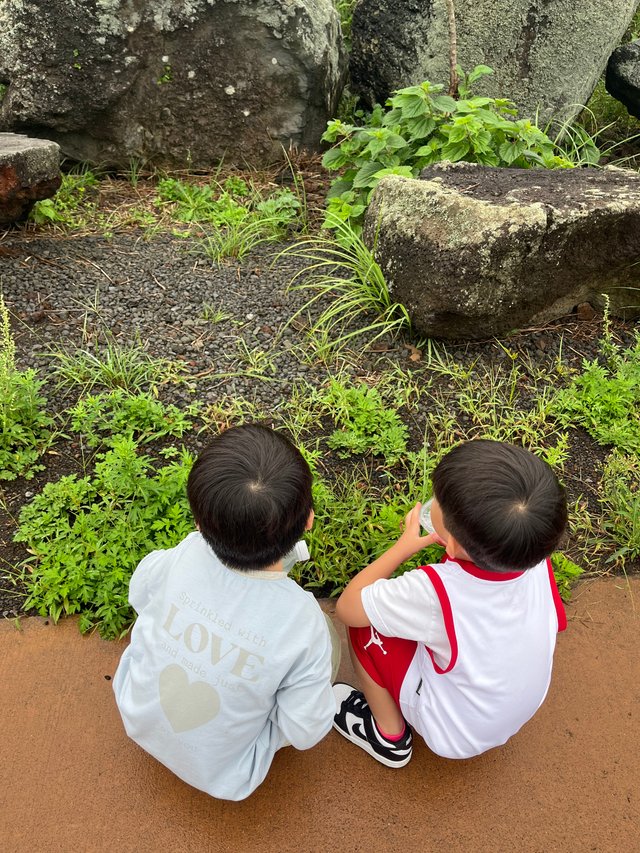 IMG_2499.jpeg