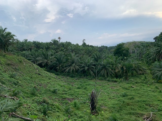 IMG_9959.jpeg
