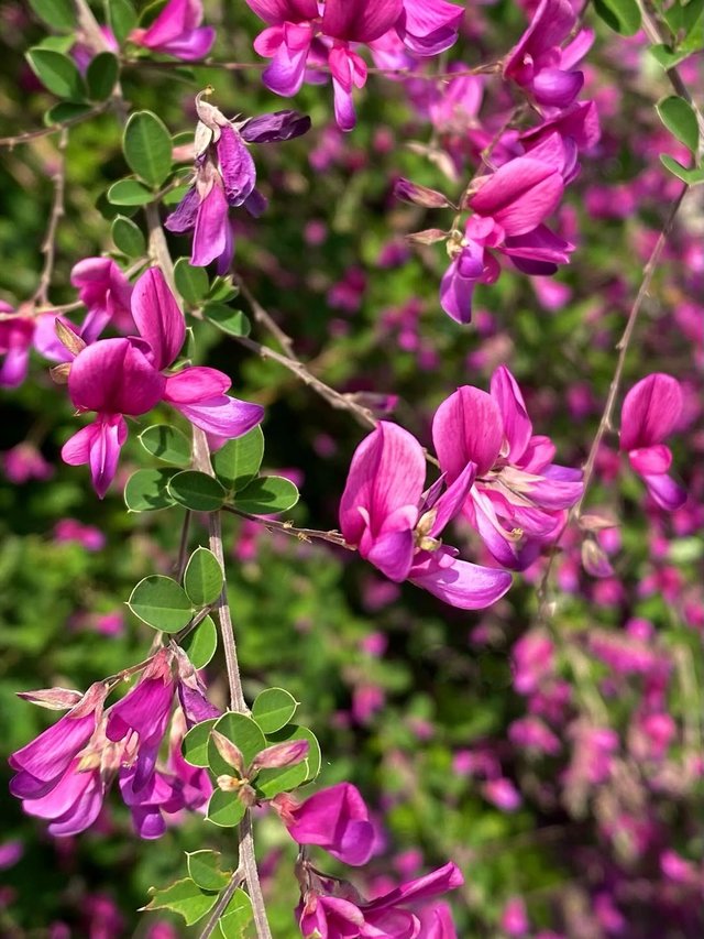 IMG_20250915_123401.jpg