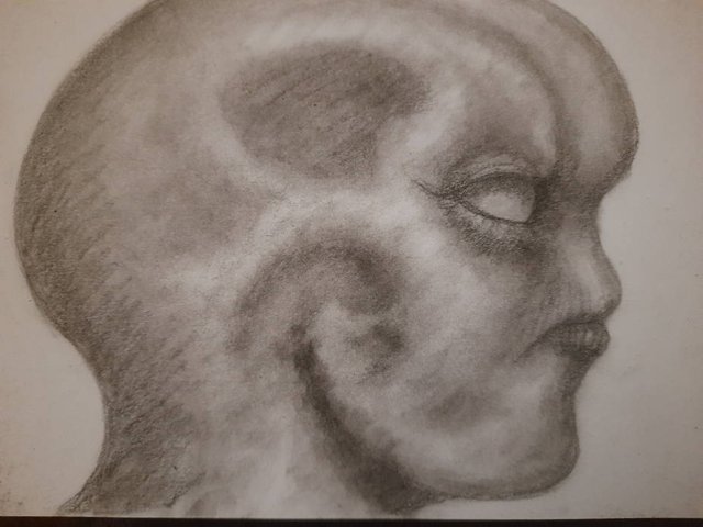20250723_105919.jpg