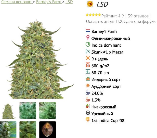 Рейтинг семян марихуаны забыл логин в hydra