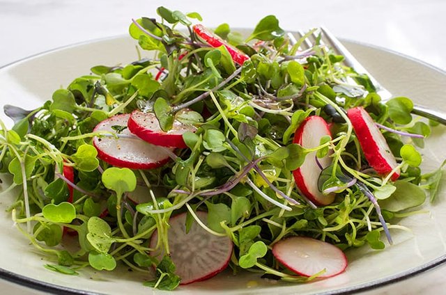 micro-green-salad-everydaydishes_com-H.jpg