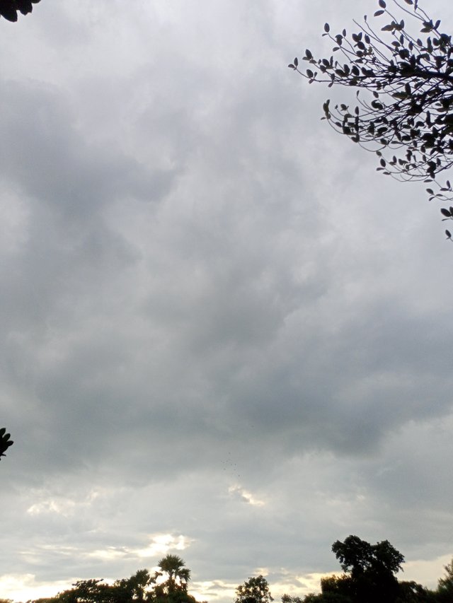 IMG20250819172249.jpg