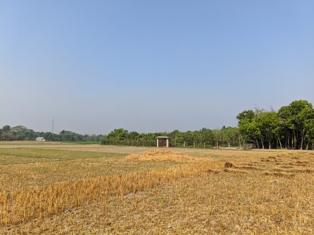 1000019552.jpg