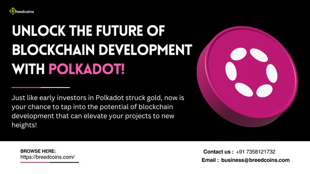 Polkadot Blockchain Development (4).jpg