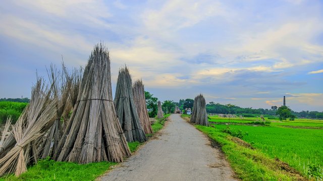 ®GcamHero_20240827_175231_🍏🌶️ Cinematic Glow- By RAJU HASAN - LMC8.4R17 - AUTO.jpg