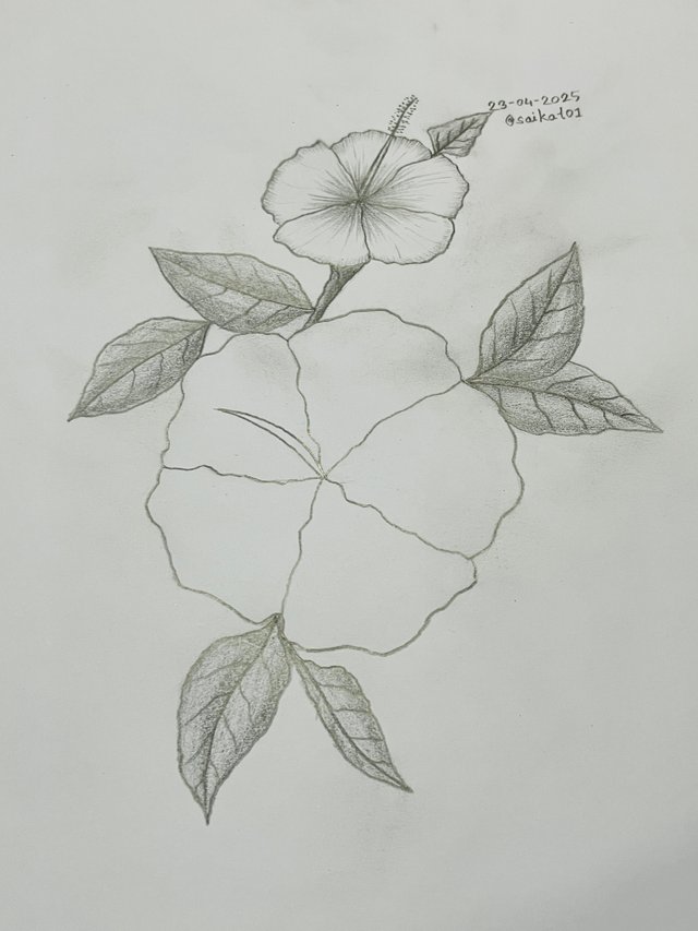 IMG_1163.jpeg