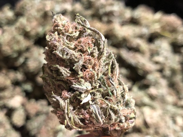 frost-cbd-hemp-flower.JPG