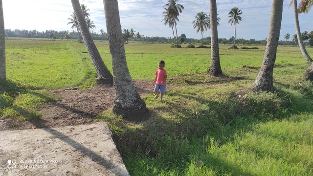 IMG_20250506_080207.jpg