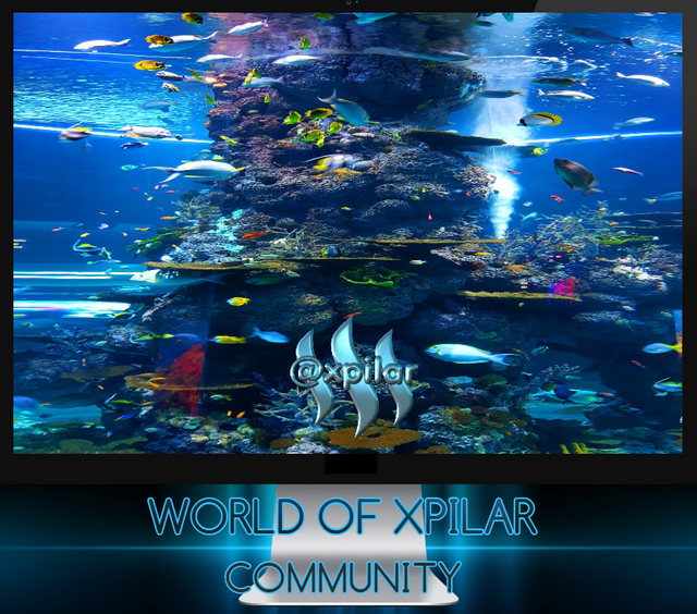 WORLD OF XPILAR LOGO BILDE 2 a.png