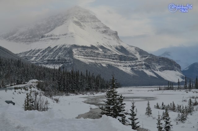 icefield parkway7.jpg