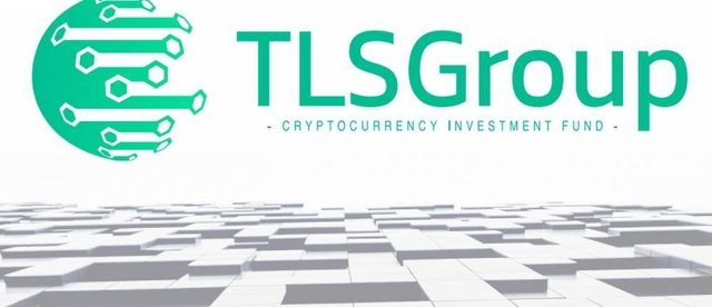 Tlsgroup Logo 5.jpg