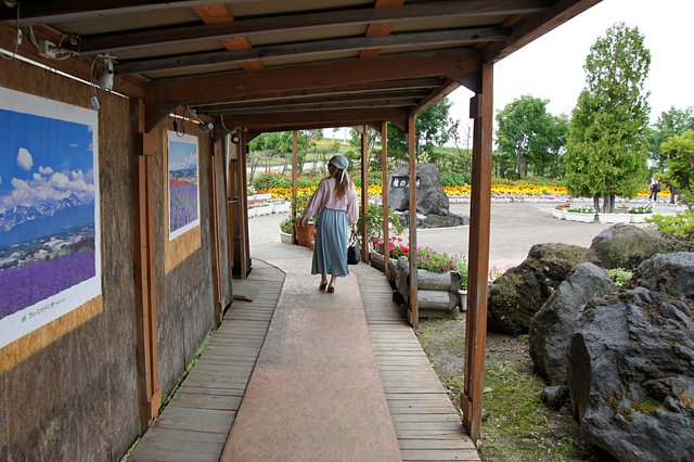 Japan-Hokkaido12802-1312.jpg