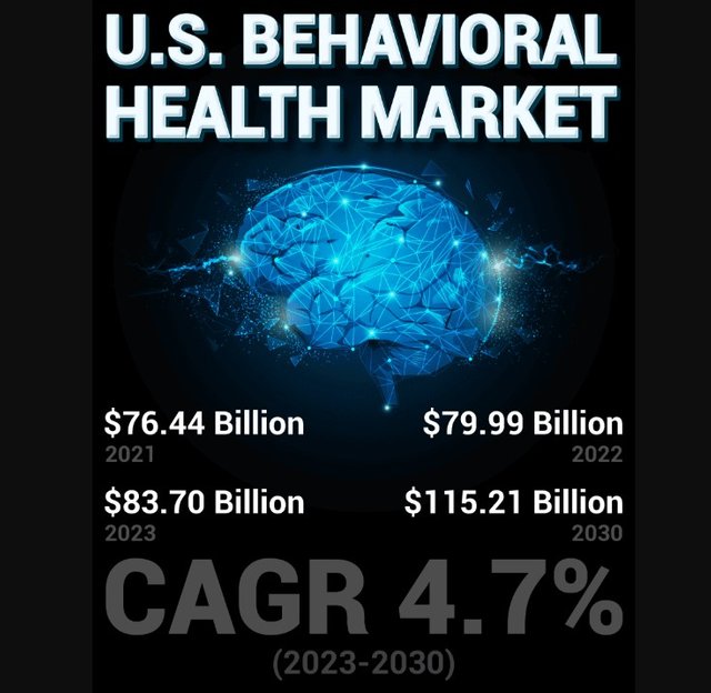 U.S. Behavioral Health Market.jpg