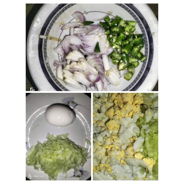 PhotoCollage_1739107997672.jpg