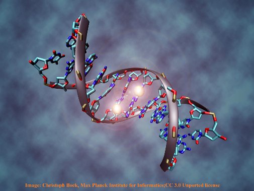 DNA methylation2 Christoph Bock, Max Planck Institute for Informatics 3.0 Unported.jpg