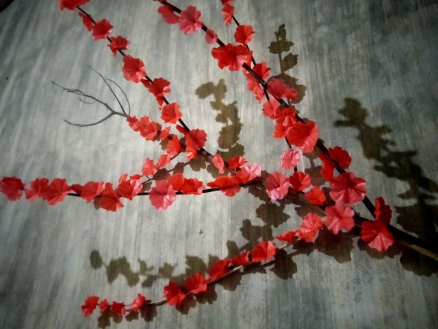 IMG20250712162426.jpg