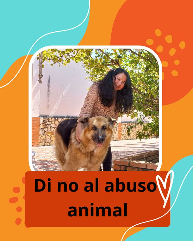 Post vertical de Instagram refugio animal alegre naranja cian.png