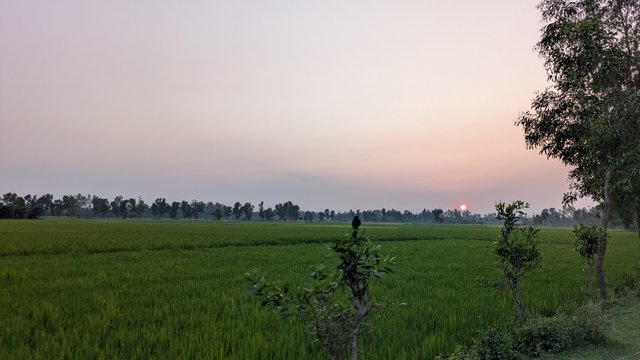 2797.jpg