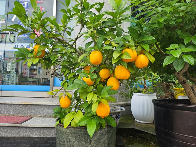 KakaoTalk_20250908_230855018_04.jpg