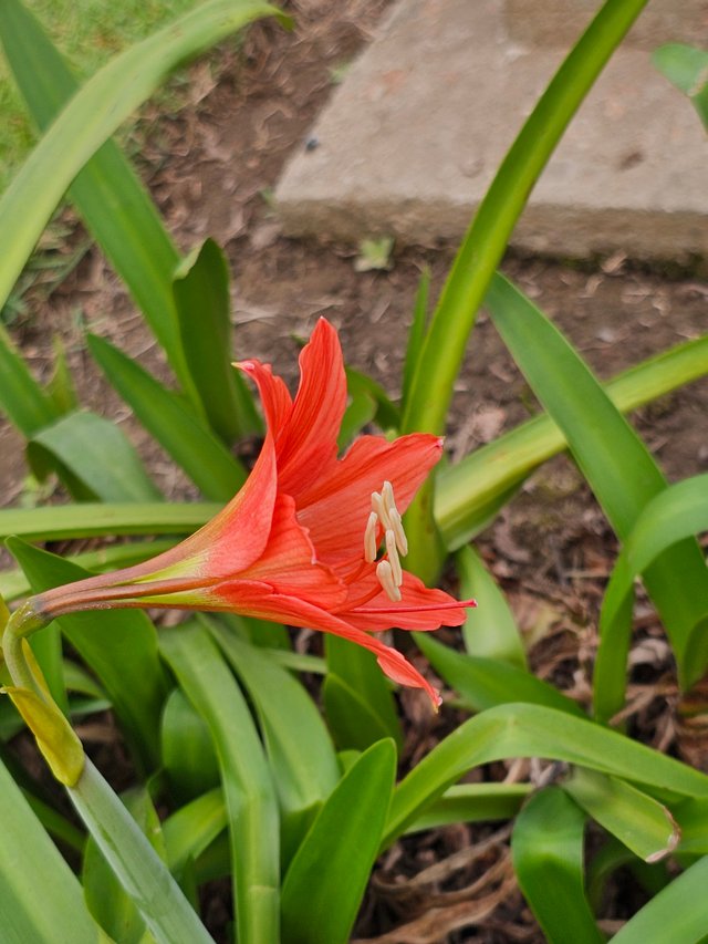 20250404_092417.jpg