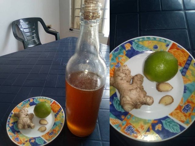 Infusión 1.JPG