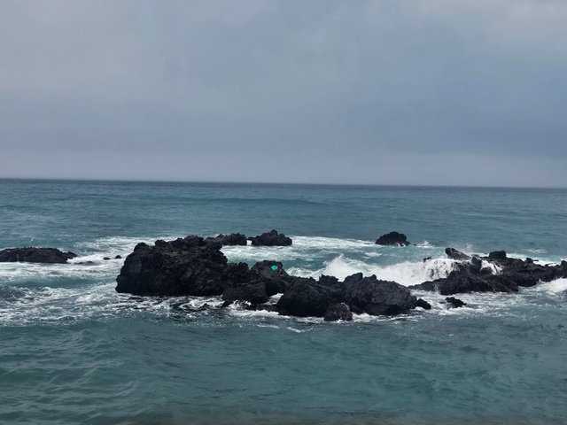 20250913_130112.jpg