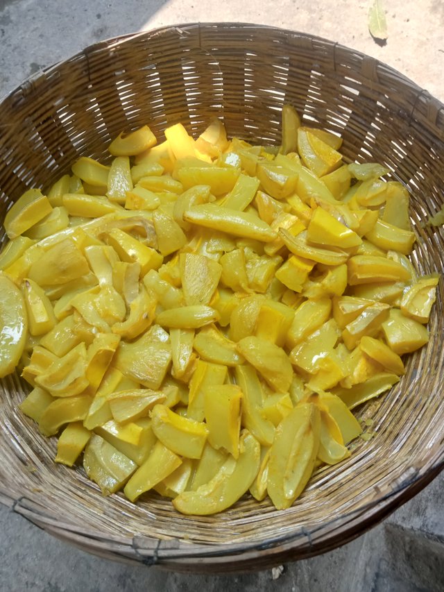 IMG20250429124514.jpg