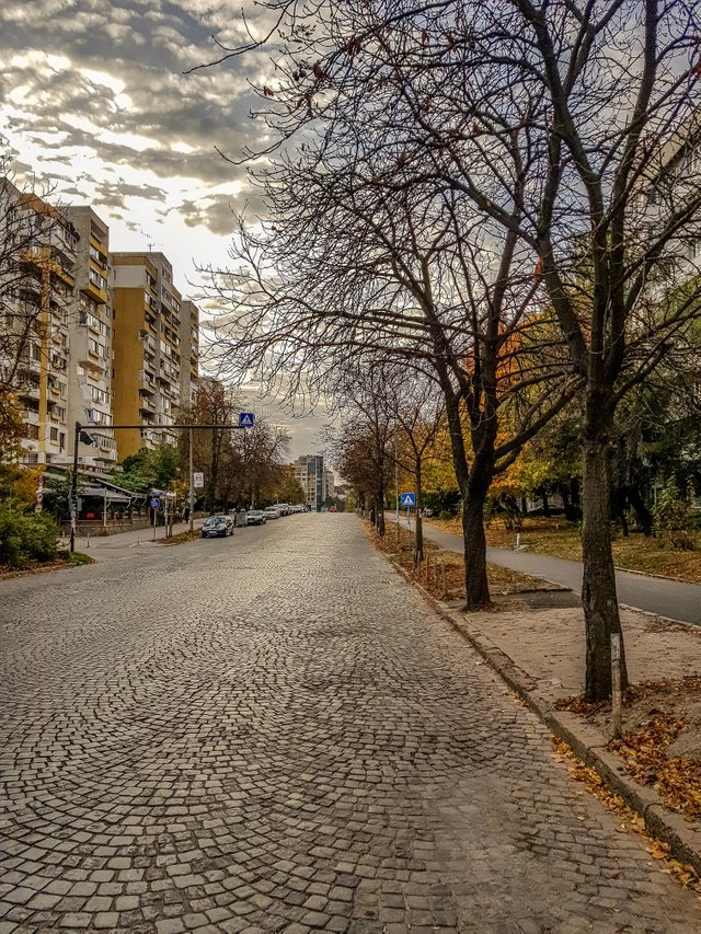 street by petko.jpg