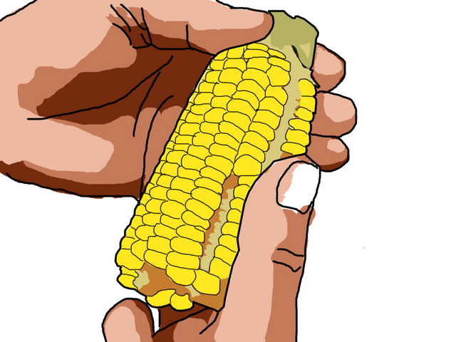 corn5.png