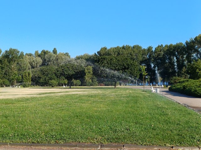 20250712_073747.jpg