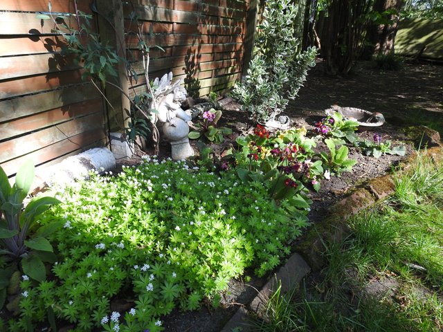 DSCN1505.JPG